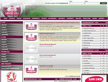 Tablet Screenshot of polskaliga5.co.uk